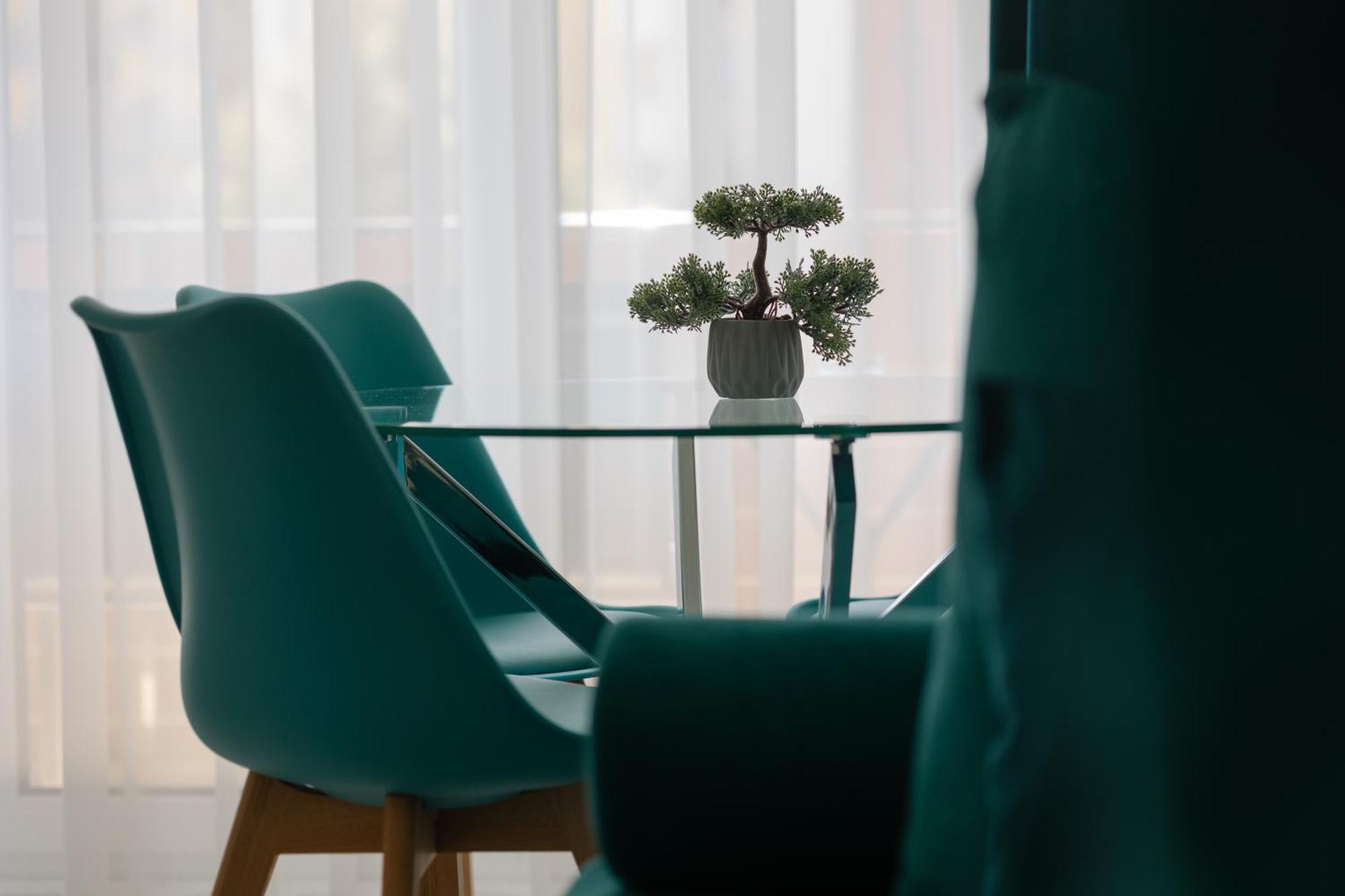 Brasov Holiday Apartments 外观 照片